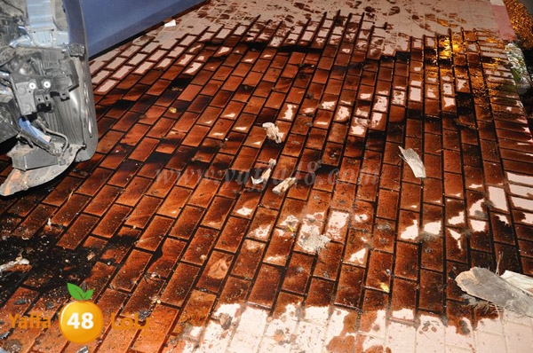 acc 7eshmona2em palmtree (14).JPG